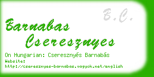 barnabas cseresznyes business card