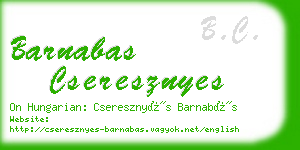 barnabas cseresznyes business card